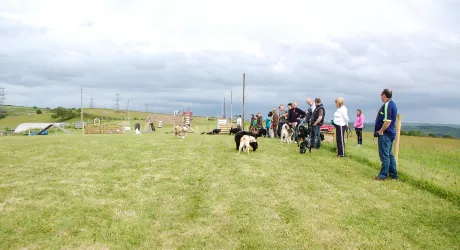 A1K9's training fields with agility equipment and countryside views
