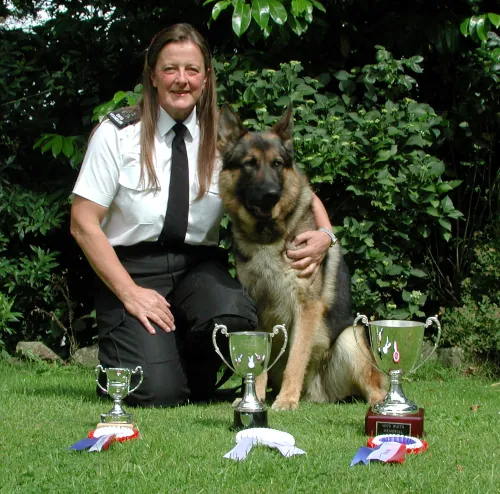 Gaynor Probert's collection of dog behaviour and training awards