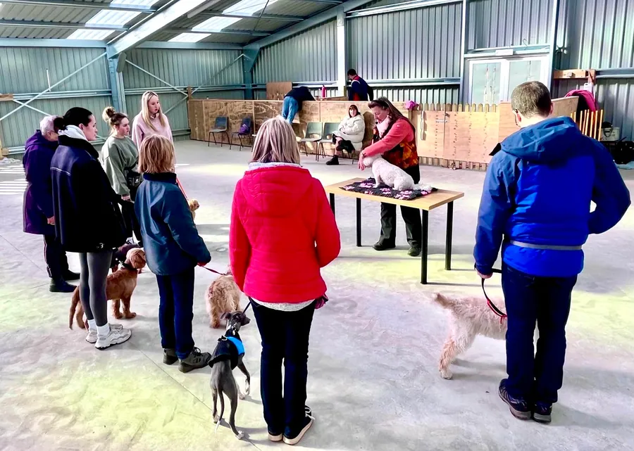Gaynor Probert examining a puppy on the table in the training barn while owners and their dogs look on