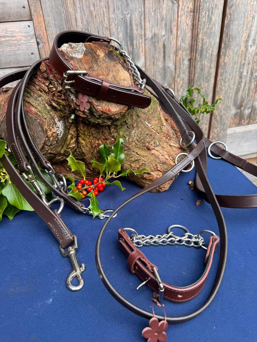 Brown leather training leads and half-check collars with steel chains, laid out on a log
