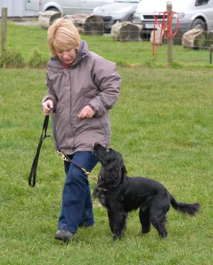 Glenda with her Working Cocker Spaniel Bryn