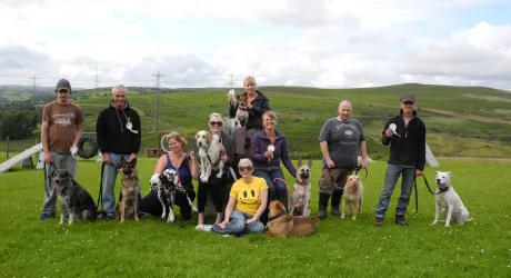 Dog practising hands-free training during a Silver Obedience session