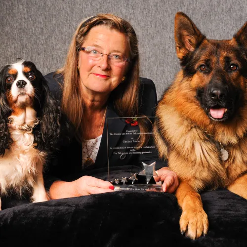 Gaynor Probert with her CFBA Practitioner of the Year 2014 award